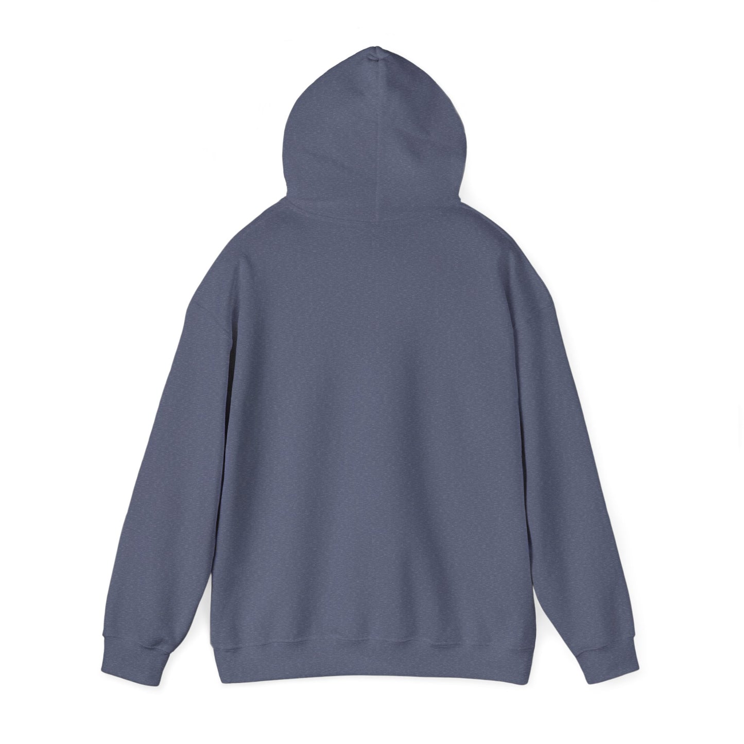 Navy Aquaculture Champion Hoodie